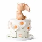 bunny with fiwers