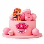 PAW patrol pink