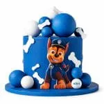 PAW patrol blue