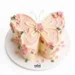 Blush Butterfly Garden Cake