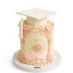 Elegant Blush Graduation Cake