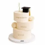 Modern Graduation Elegance Cake