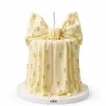 Coquette Floral Bow Cake.