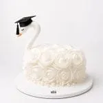 White Swan Graduation Cake