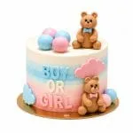 Boy or Girl Gender Reveal Cake 💙🩷