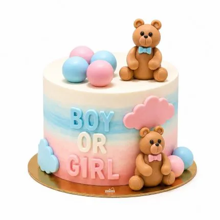 Boy or Girl Gender Reveal Cake 💙🩷