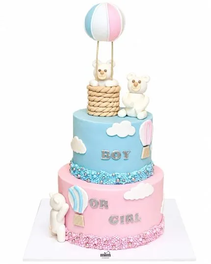 Boy or Girl Teddy Bear Reveal Cake 🧸💙🩷