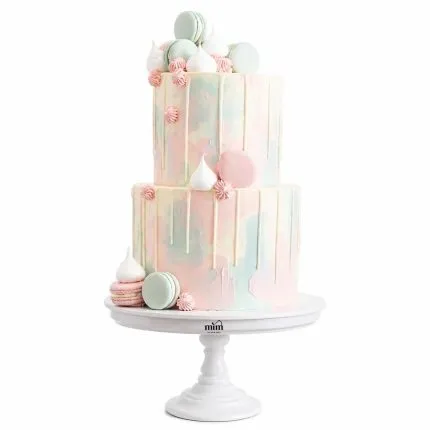 Pastel Macaron Celebration Cake 🍰✨